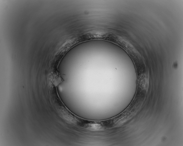 X0000099300509200805090957