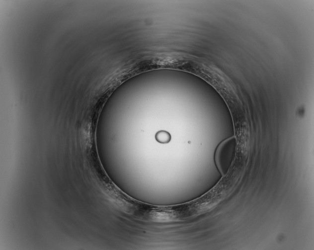 X0000099300510200805090957