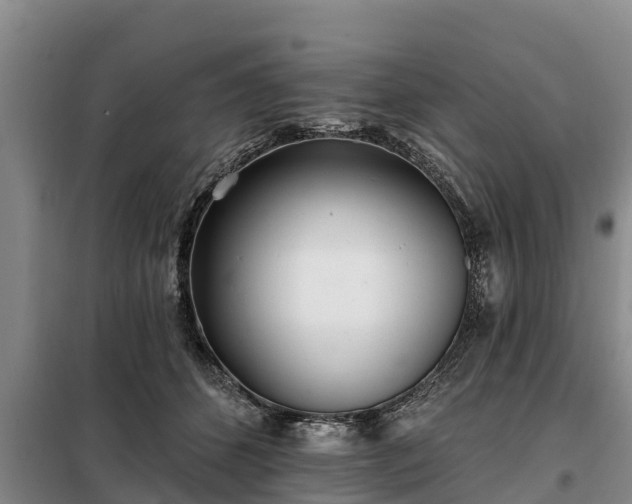 X0000099300512200805090957