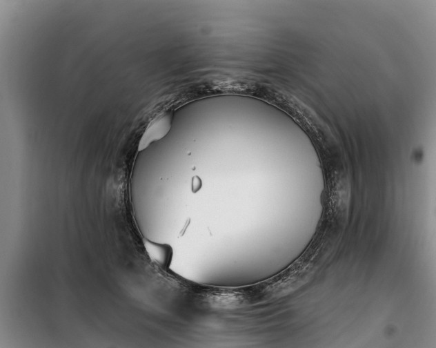 X0000099300513200805090957