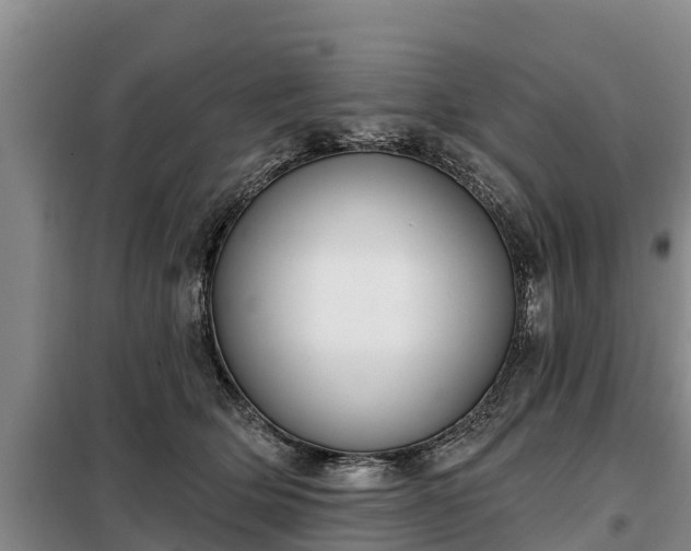 X0000099300514200805090957