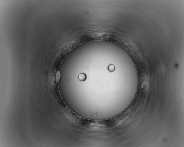 X0000099300515200805090957