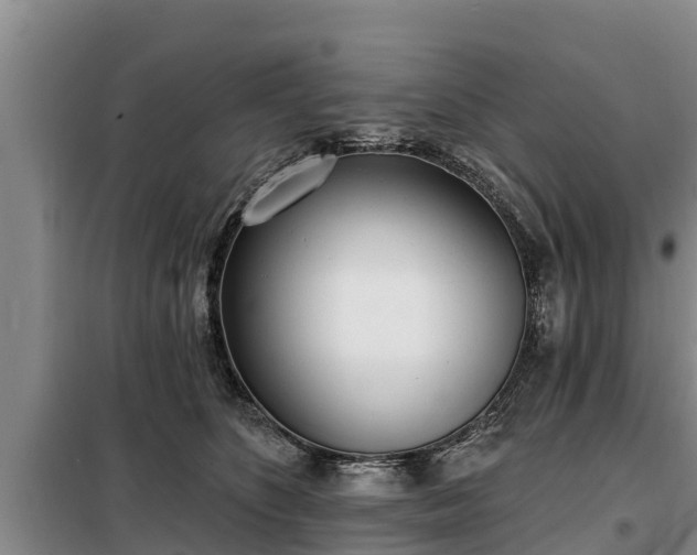 X0000099300516200805090957