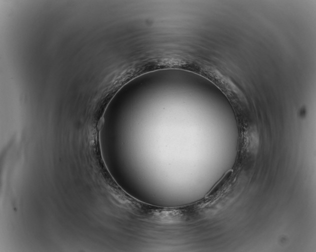 X0000099300517200805090957