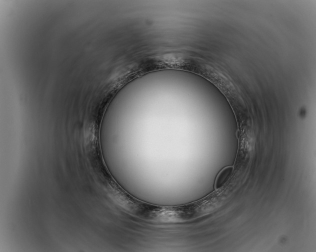 X0000099300518200805090957