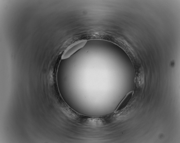 X0000099300520200805090957