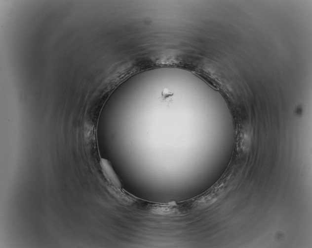 X0000099300521200805090957