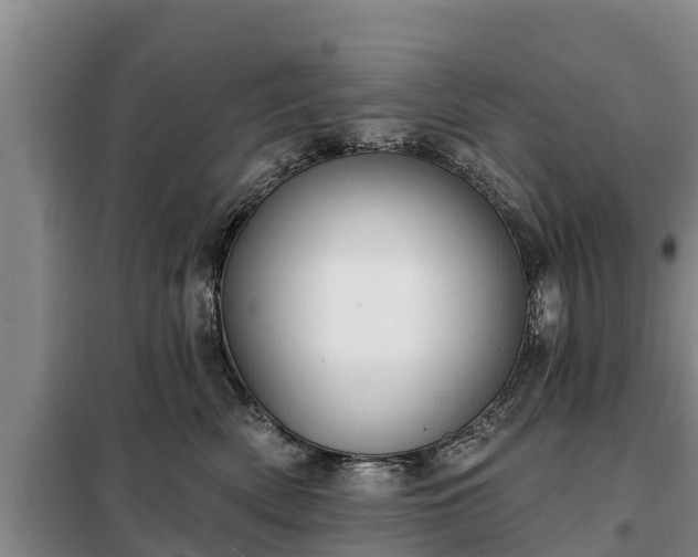 X0000099300522200805090957