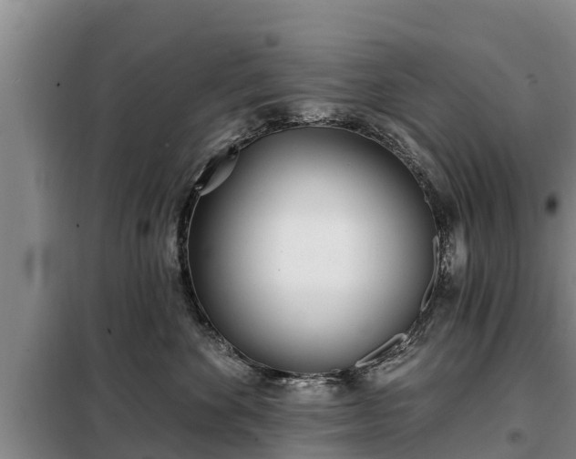 X0000099300524200805090957