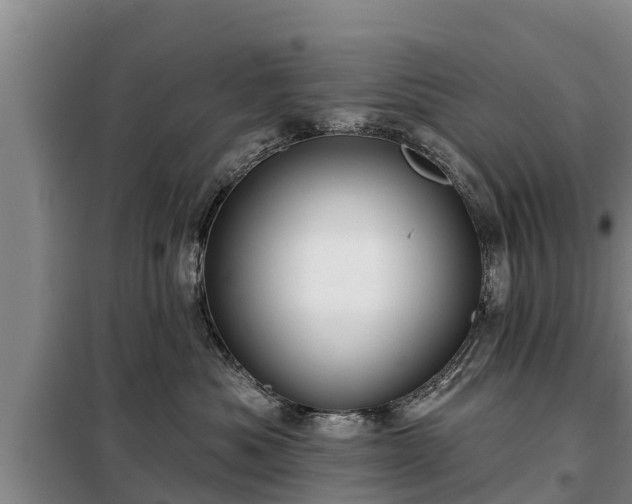 X0000099300525200805090957