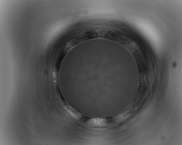 X0000099300526200805090957