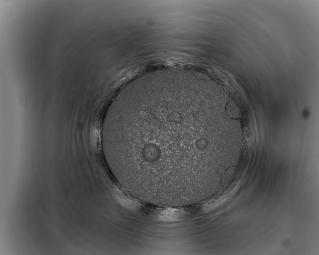 X0000099300527200805090957