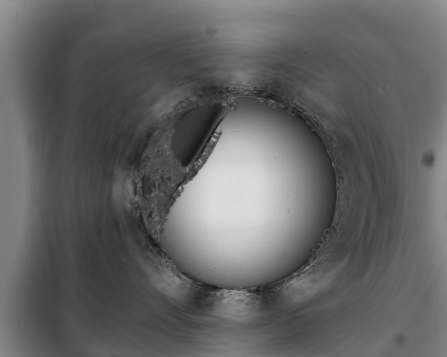 X0000099300528200805090957