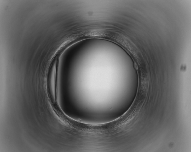 X0000099300530200805090956