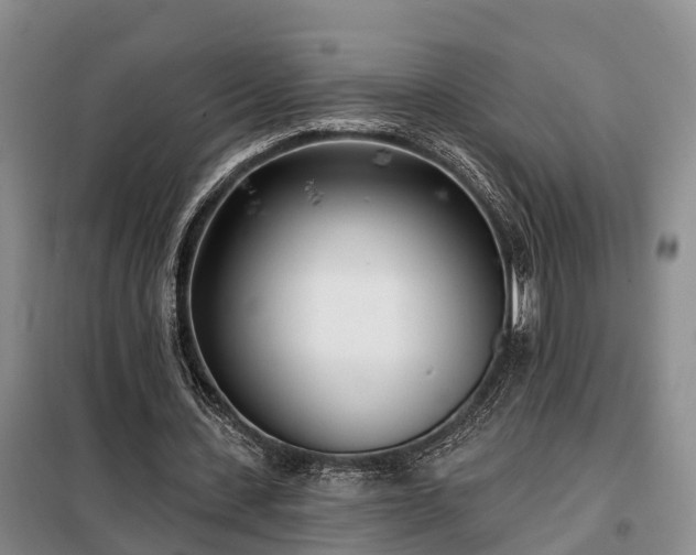 X0000099300531200805090956