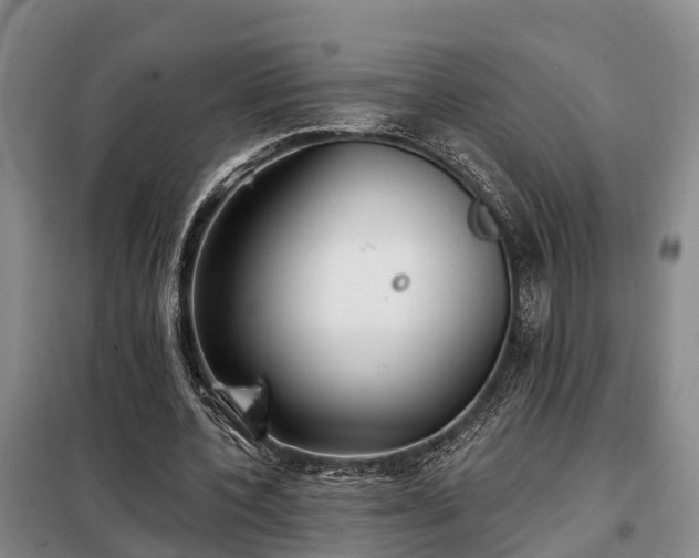 X0000099300532200805090956