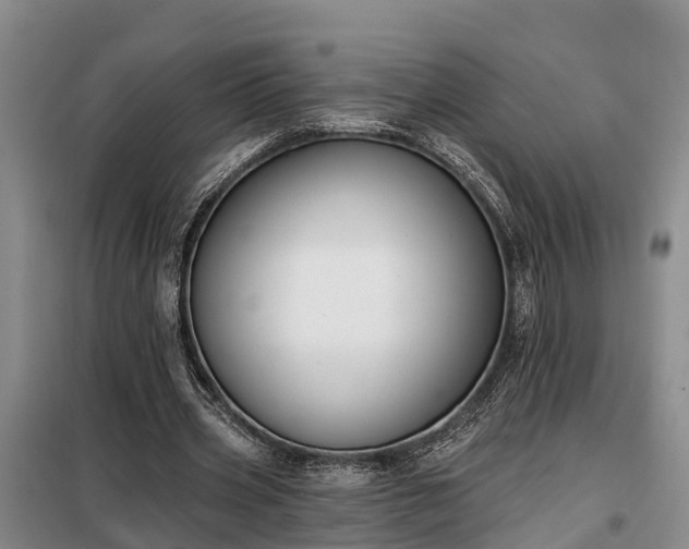 X0000099300533200805090956