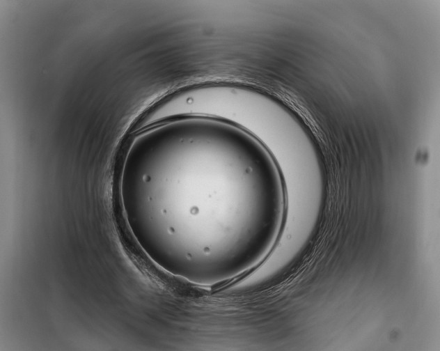 X0000099300534200805090956