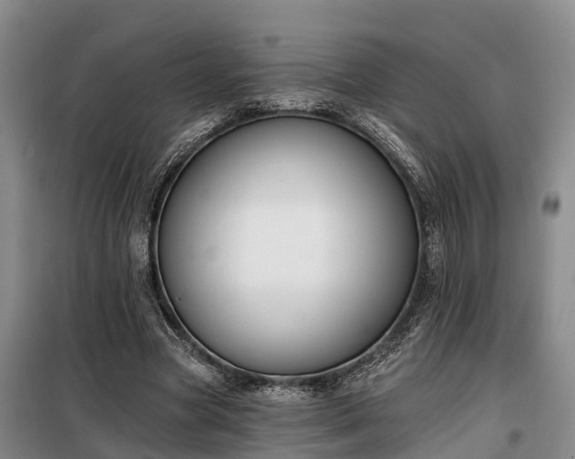 X0000099300537200805090956