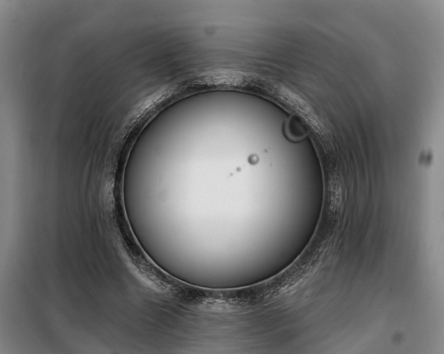 X0000099300538200805090956