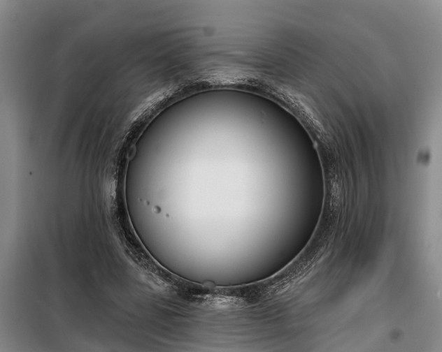 X0000099300539200805090956