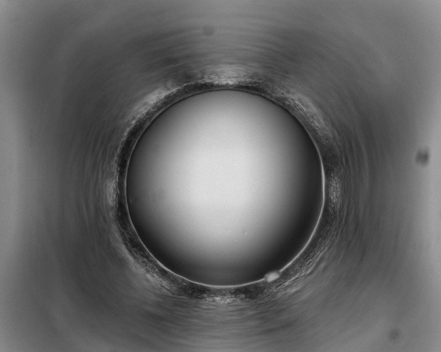 X0000099300540200805090956