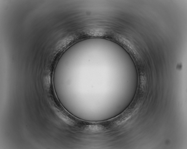 X0000099300541200805090956