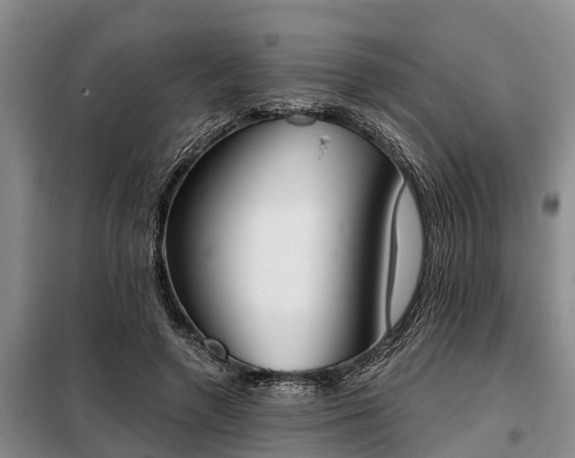 X0000099300546200805090956