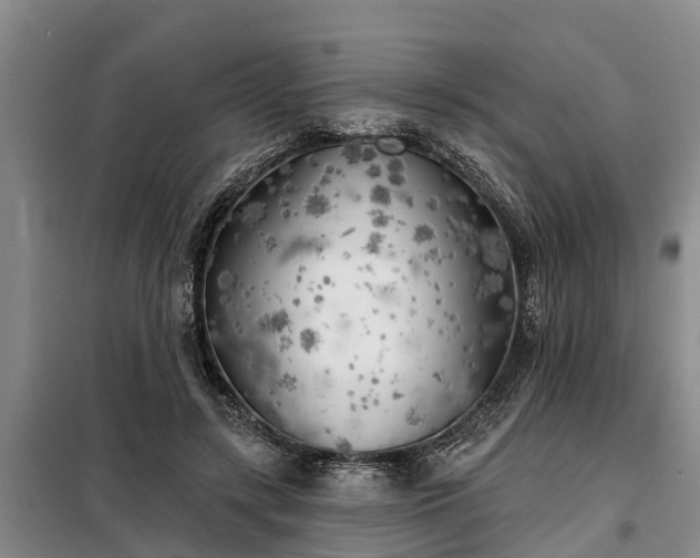 X0000099300547200805090956