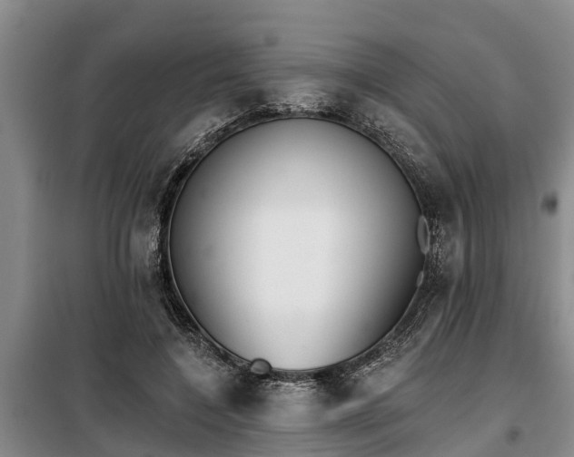 X0000099300548200805090956