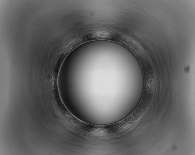 X0000099300551200805090956