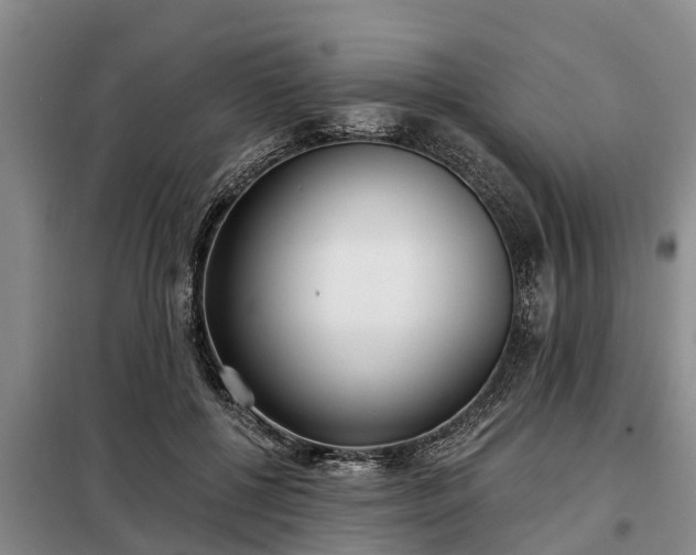 X0000099300552200805090956