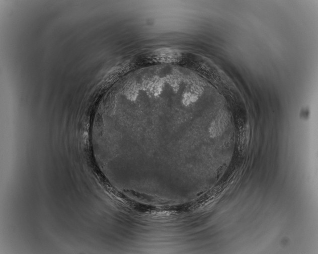 X0000099300553200805090956