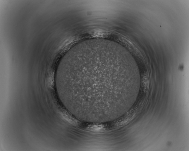 X0000099300554200805090956