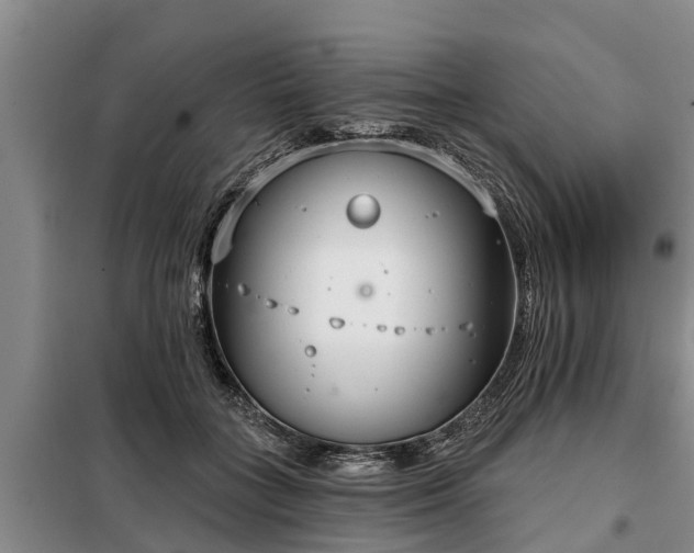 X0000099300555200805090956