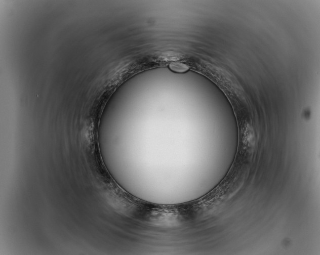 X0000099300559200805090956