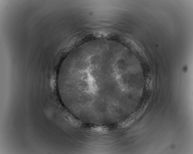 X0000099300561200805090956