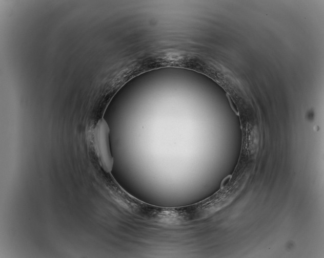 X0000099300562200805090957