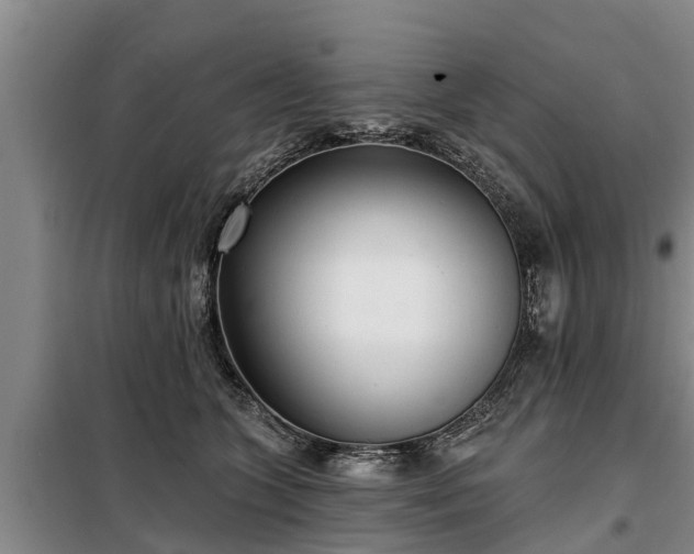 X0000099300563200805090957