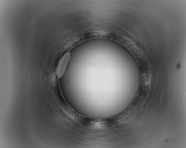 X0000099300564200805090957