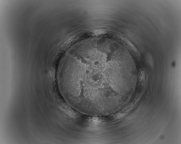 X0000099300565200805090957