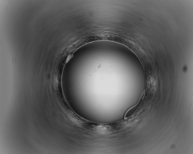 X0000099300566200805090957