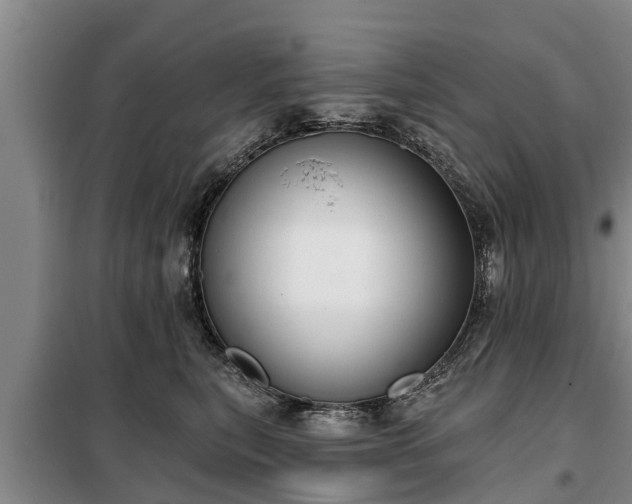 X0000099300567200805090957