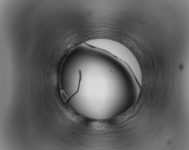 X0000099300568200805090957