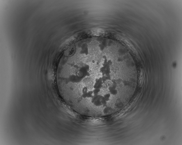 X0000099300569200805090957