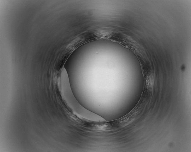 X0000099300570200805090957