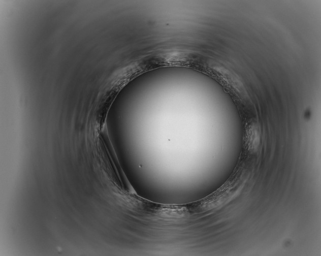 X0000099300571200805090957