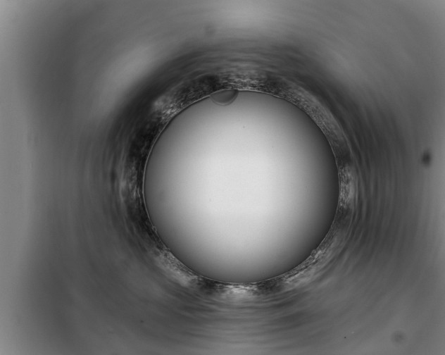 X0000099300573200805090957