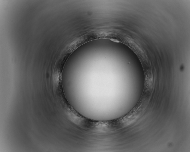 X0000099300574200805090957