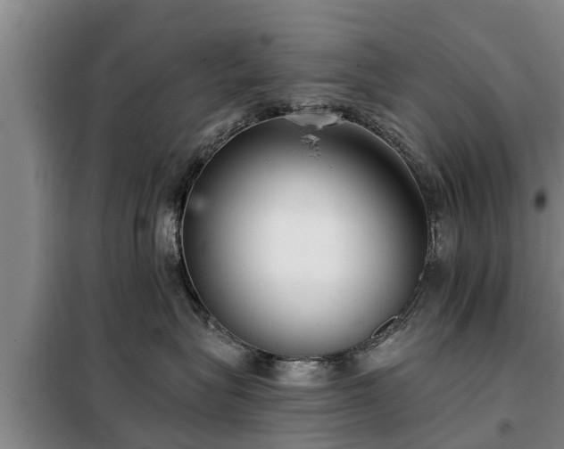 X0000099300575200805090957